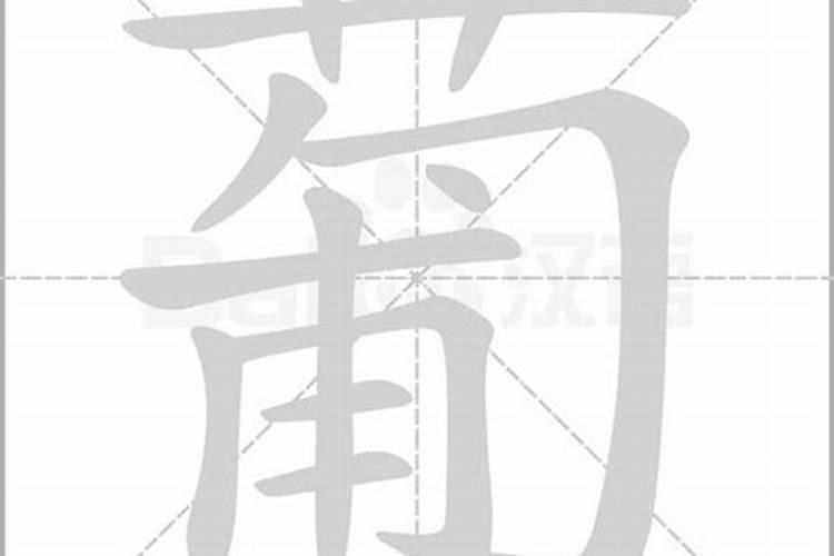 葡字五行属什么属性