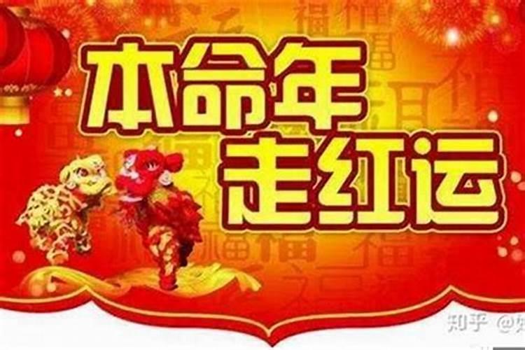 81年属鸡与78年马合作好不好