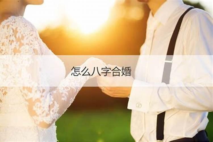 已婚属马男人今年会离婚吗