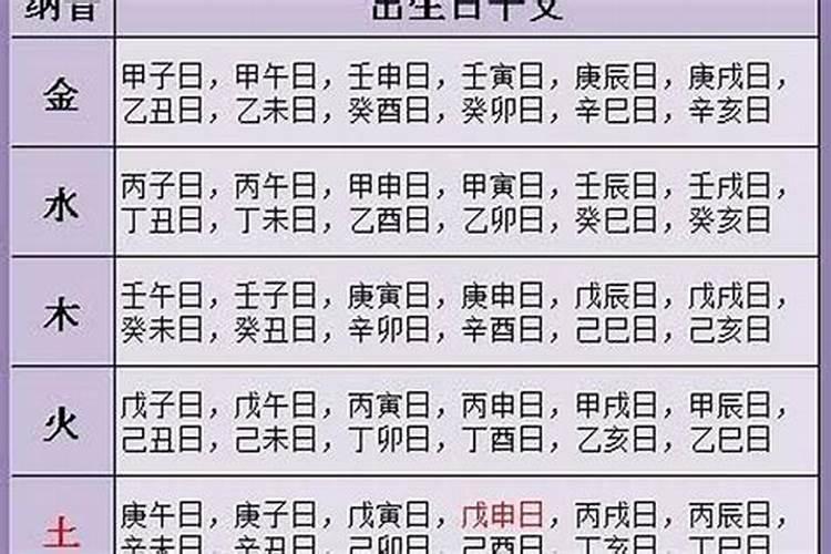 农历十三五行属什么