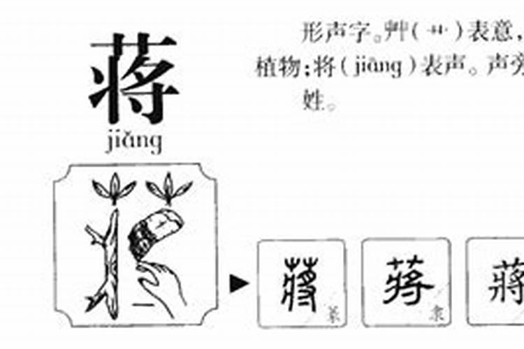 蒋字五行属什么属性的名字