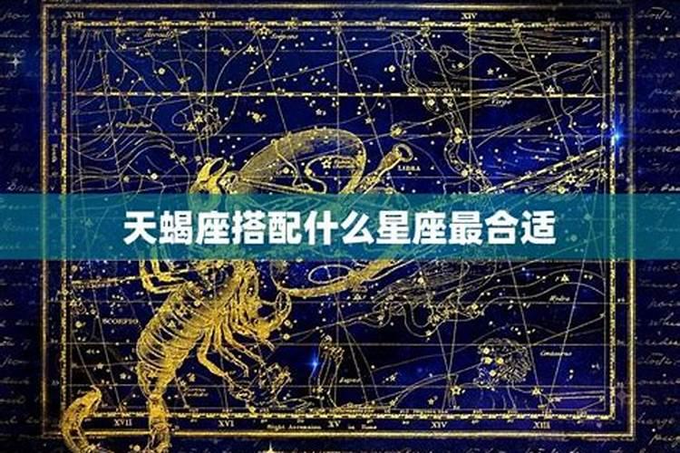 天蝎座最佳暧昧星座组合