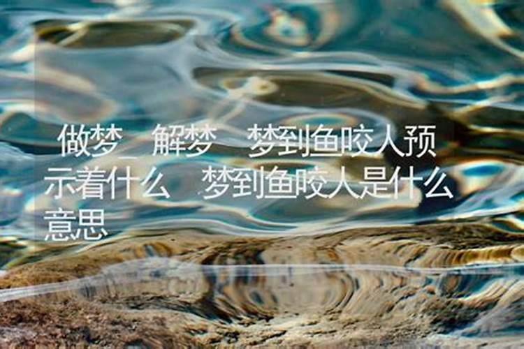 梦到鱼会吃人是什么意思