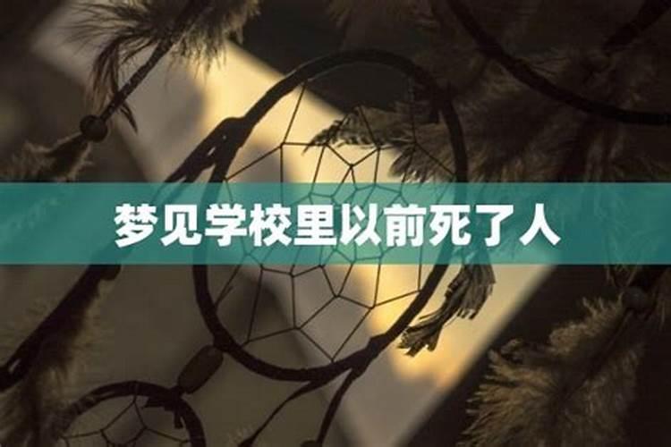 张盛舒2021紫微流年姻缘排盘