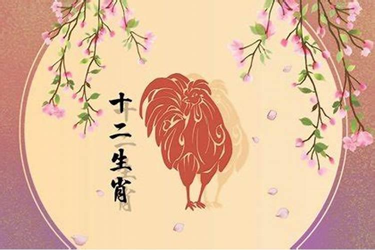 属鸡今年运气好不好呀