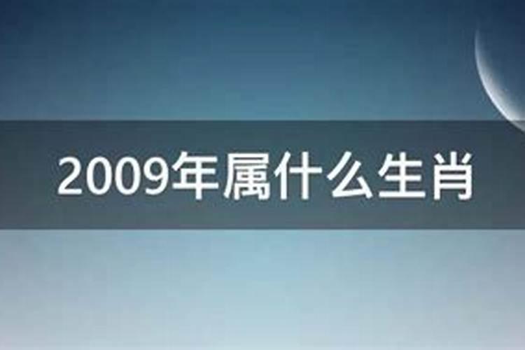 2009年属什么生肖啥命