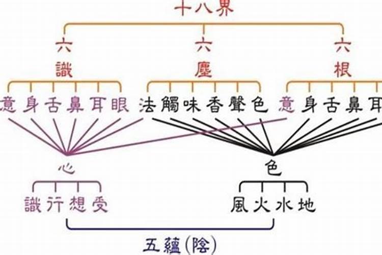 尘代表十二生肖哪个