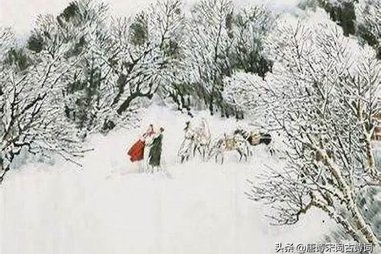 雪什么生肖