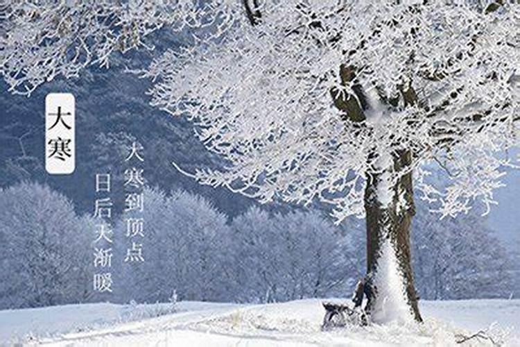 冬雪肖是哪几个生肖