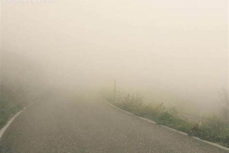 梦到去登山,山上都是大雾