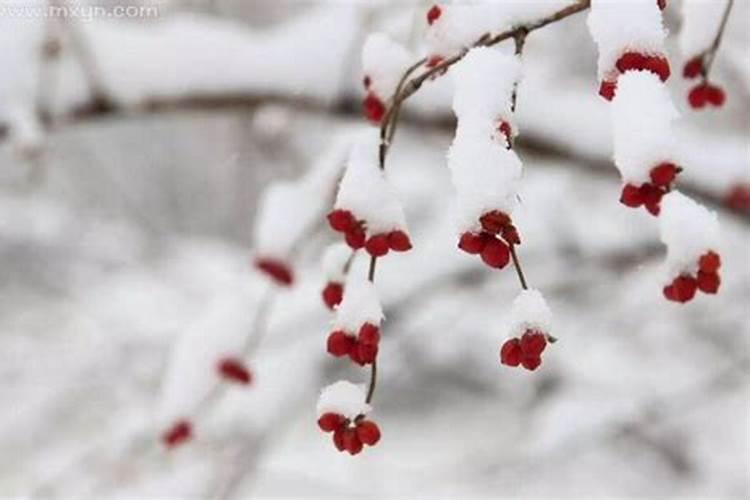 梦到雪是什么意思啊