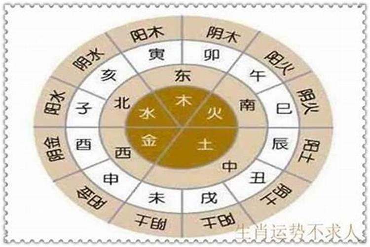 属蛇12月出生是什么星座