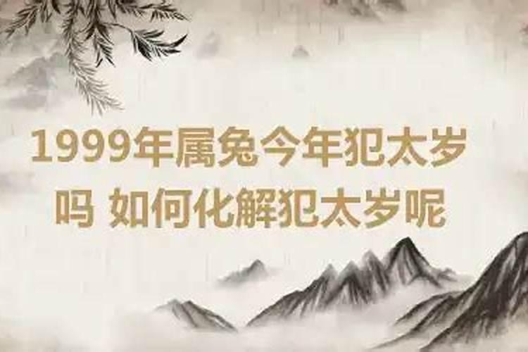 属兔今年的犯太岁吗