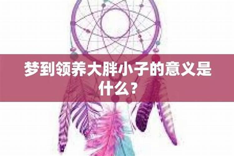 梦见大胖小子是什么意思是什么意思