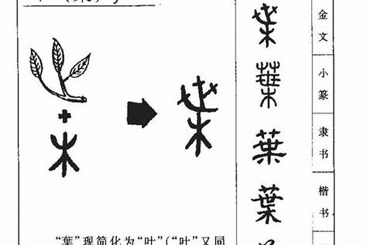 叶字的五行属性