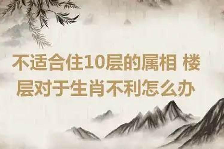 不适合住4层的属相