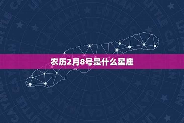 阳历2月8日是什么星座的