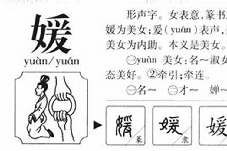 媛的五行属什么名字