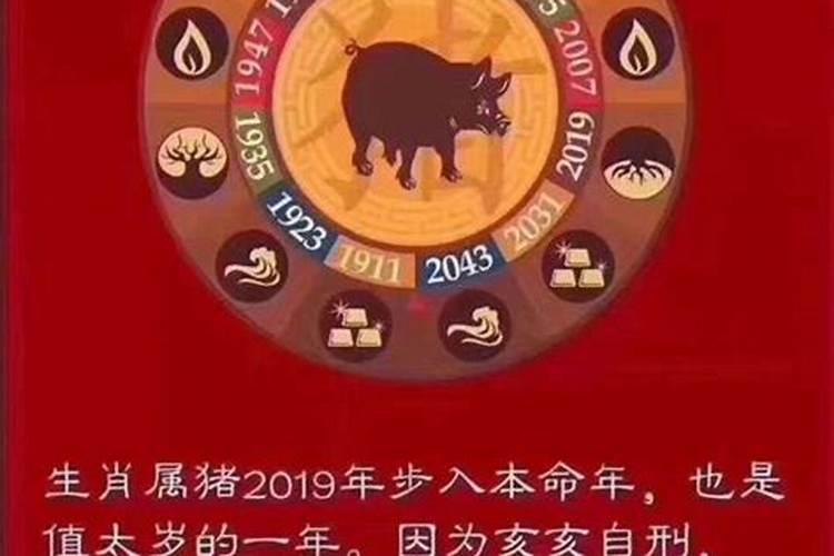 2019年犯太岁的生肖表