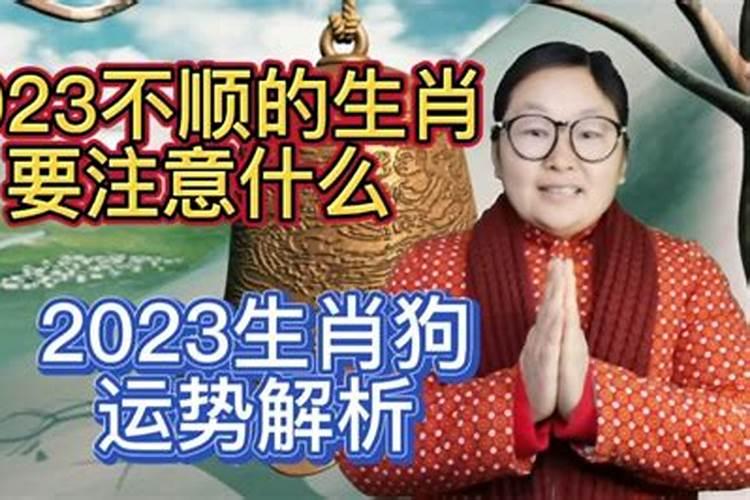 2022年灾难最多的生肖