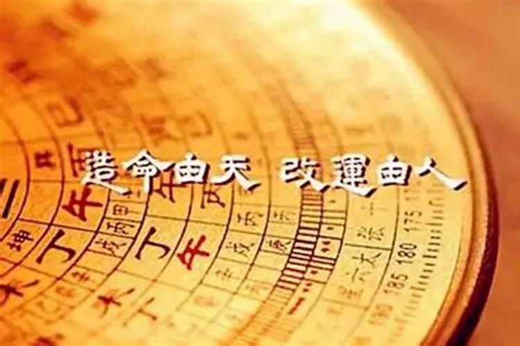 2020年45岁今年属什么生肖