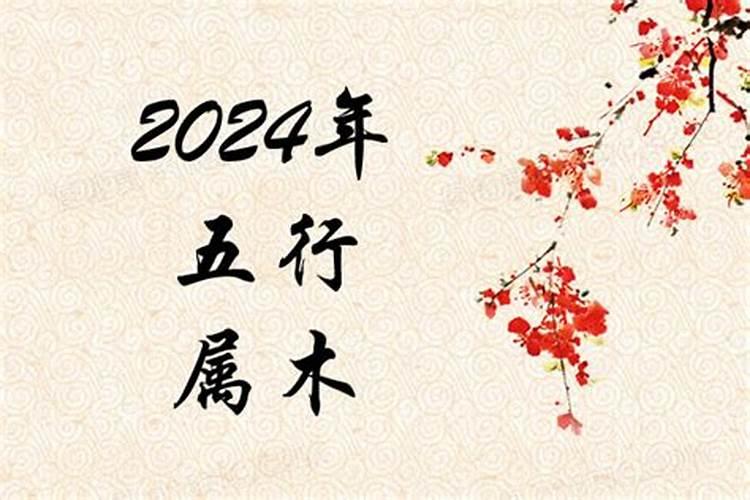 2024年五行属性