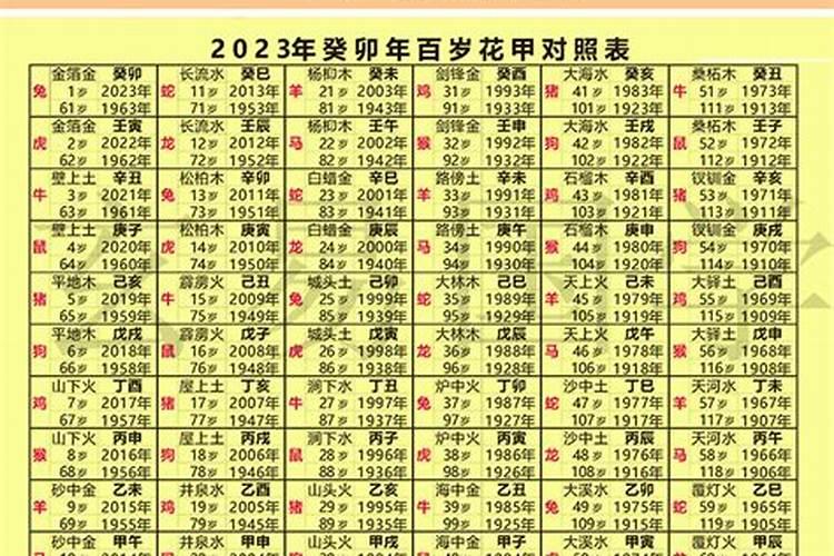 十二生肖龙今年多大岁数