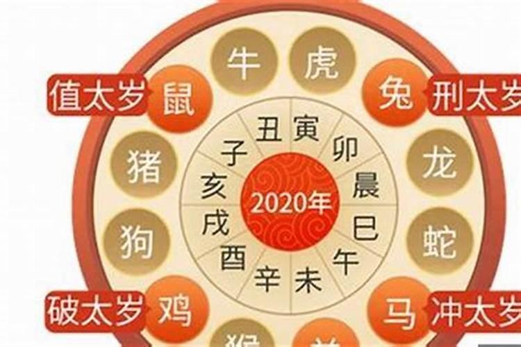 2023狗如何破太岁