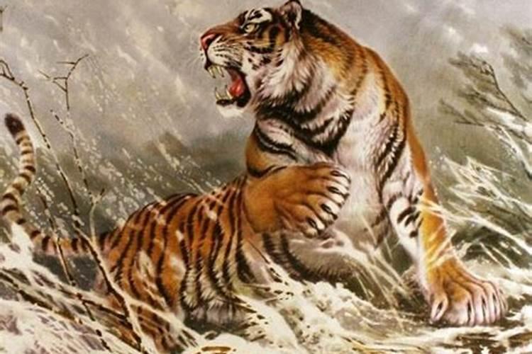 梦见吃人的老虎是什么意思