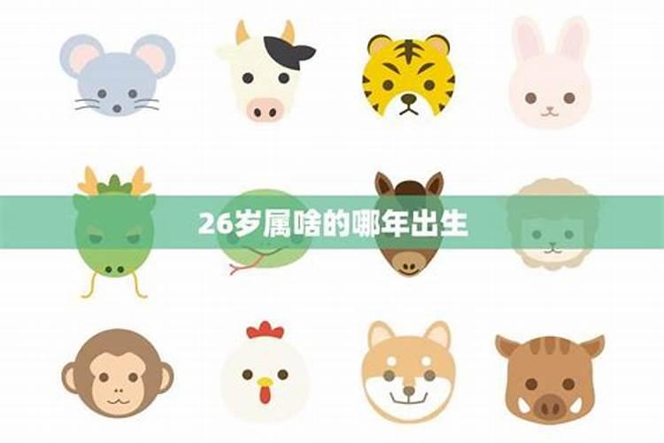 26岁属什么生肖是什么命