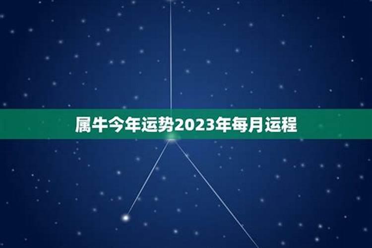 属牛人今年12月份爱情运势