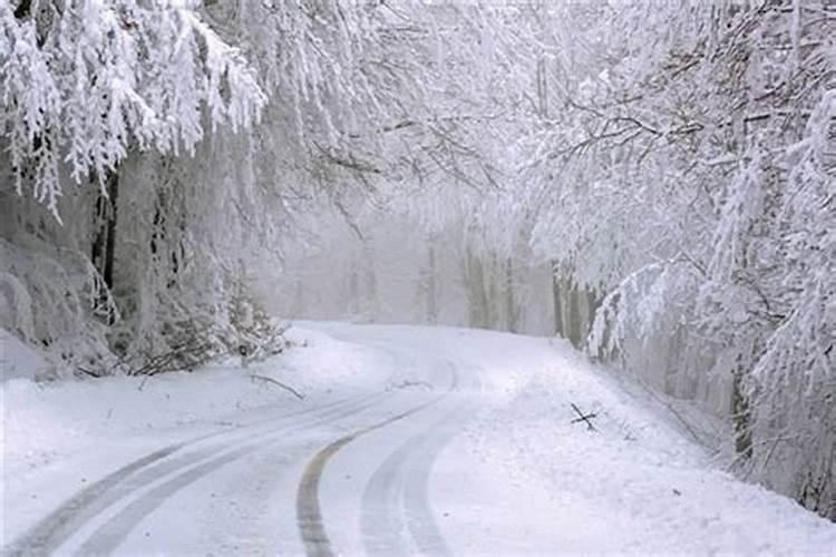 梦见下雪特别滑什么意思呀