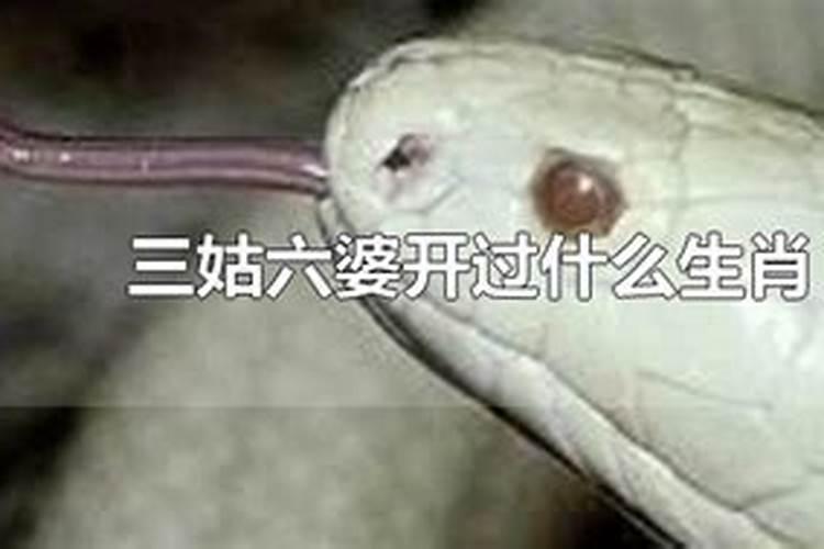 泥鳅是特马与什么生肖有联系