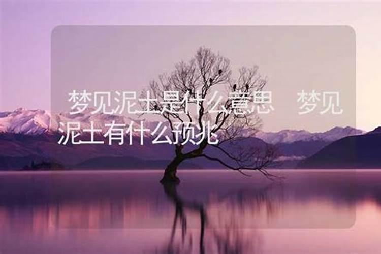 梦见沙土是什么生肖