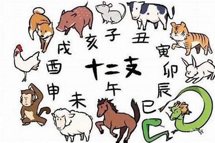 虎和猪会犯太岁吗