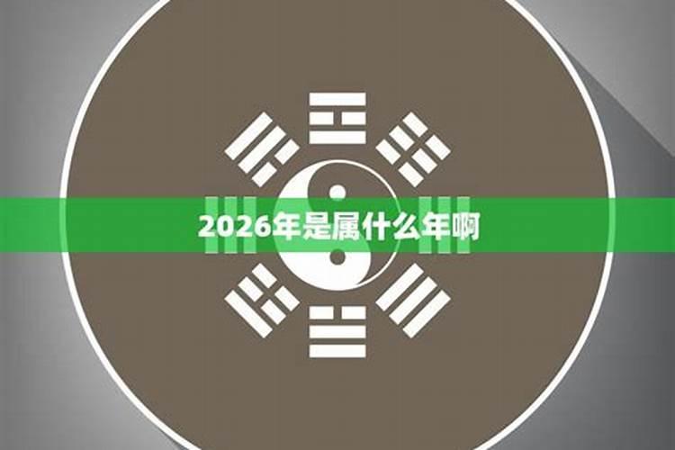 2026年是什么马年五行