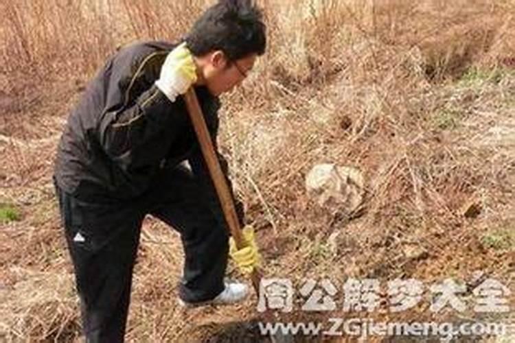 女人梦见黄沙土