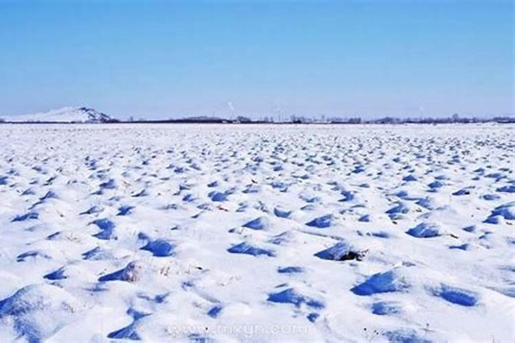 梦见家里满地都是土什么意思呀