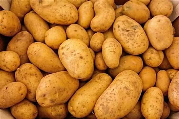 梦见满地的土豆是什么意思呢