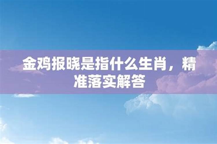 金鸡报晓是打一个生肖