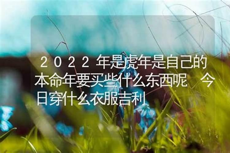 苏珊大妈2023年运势