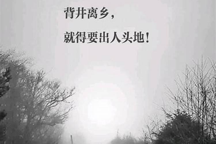 背井离乡不敢问指什么生肖