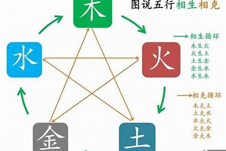 语属于五行属什么意思