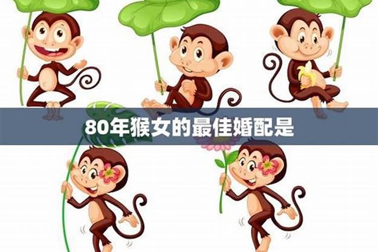 80年的猴是什么命婚配