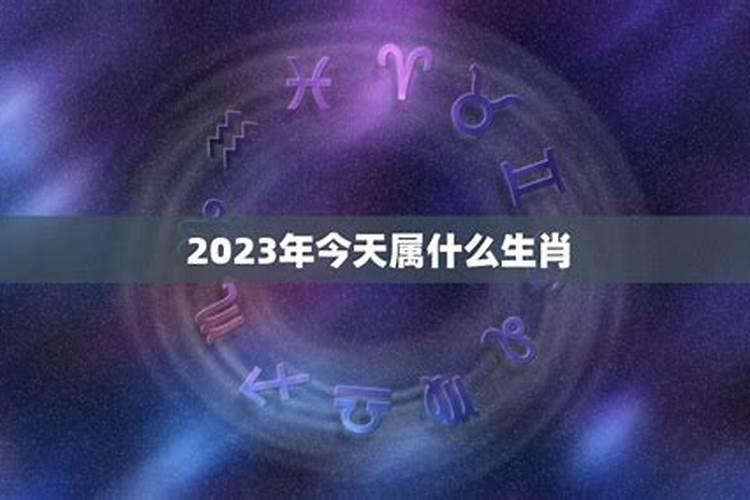 今天属什么生肖2021年1月13号