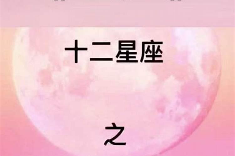 十二星座专属狗狗