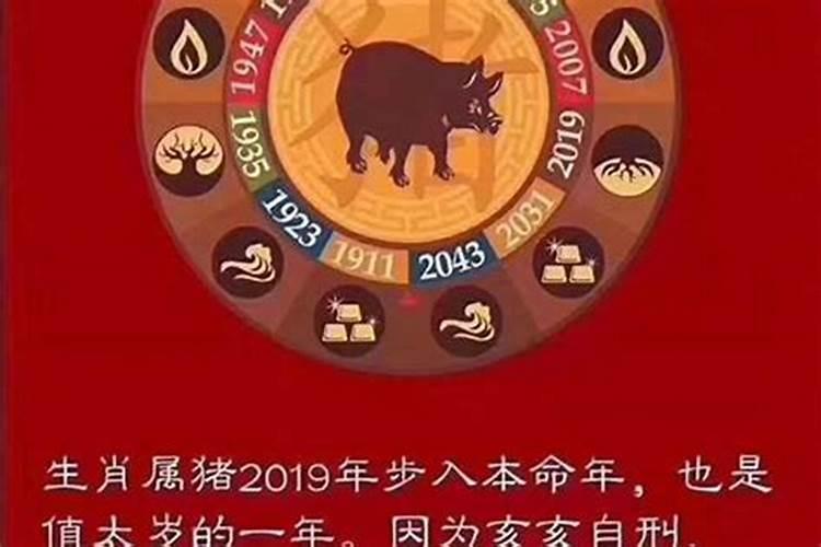 今年犯太岁明年运气会变好吗