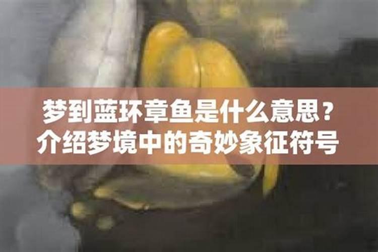 梦里梦见章鱼什么意思