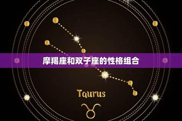 双子是摩羯的克星