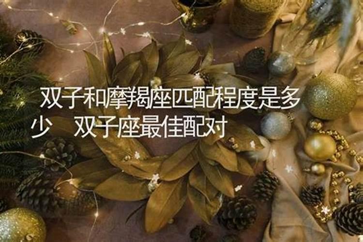 双子和摩羯座合不合